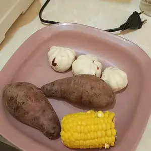 HAN RIVER Panci Listrik 3 Tingkat Kukusan Listrik 24L Kukus Dan Masak Seafood/Siomay/Mie/Sayur