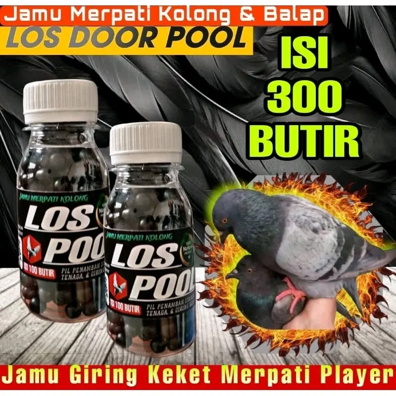 300 BUTIR LOS DOOR POOL JAMU MERPATI KOLONG DAN BALAP-Pils Extra Gingseng Teki raja pukqul vertafarm