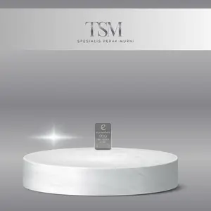 Silver Eurosilver 5 Gram.