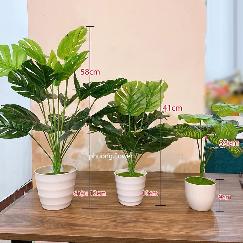 Cây trầu bà giả decor cây lá rùa nhựa 3 size 75cm 55cm 40cm nhân tạo dùng trang…
