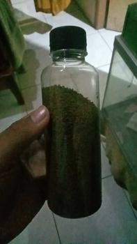 Product Review of Pelet mikro botol besar 100 gram untuk ikan cupang, Guppy, molly dllnya from F**👺 0