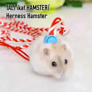 Tali ikat hamster, tali herness hamster, tali buat jalan-jalan hamster jadi aman dibawa keluar ruangan