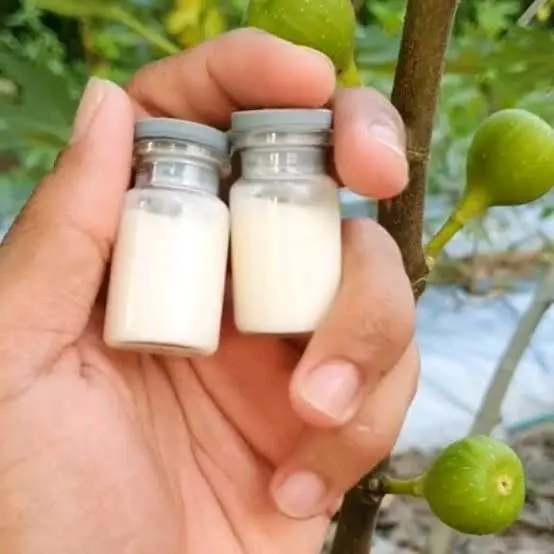 Getah buah tin-getah pohon tin 5ml Segar