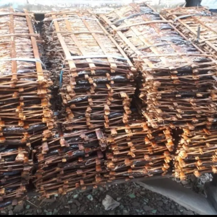 Ikan roa / Ikan roa utuh 1 gepe isi 20 ekor / Roa asap / Roa 2