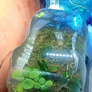 Lampu Aquarium LED Aquarium / Lampu Aquarium Mini