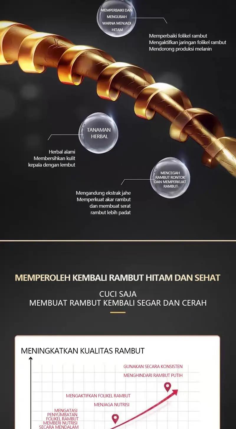 Sampo Anti-Rambut Rontok Ginseng dan Polygonum Multiflorum