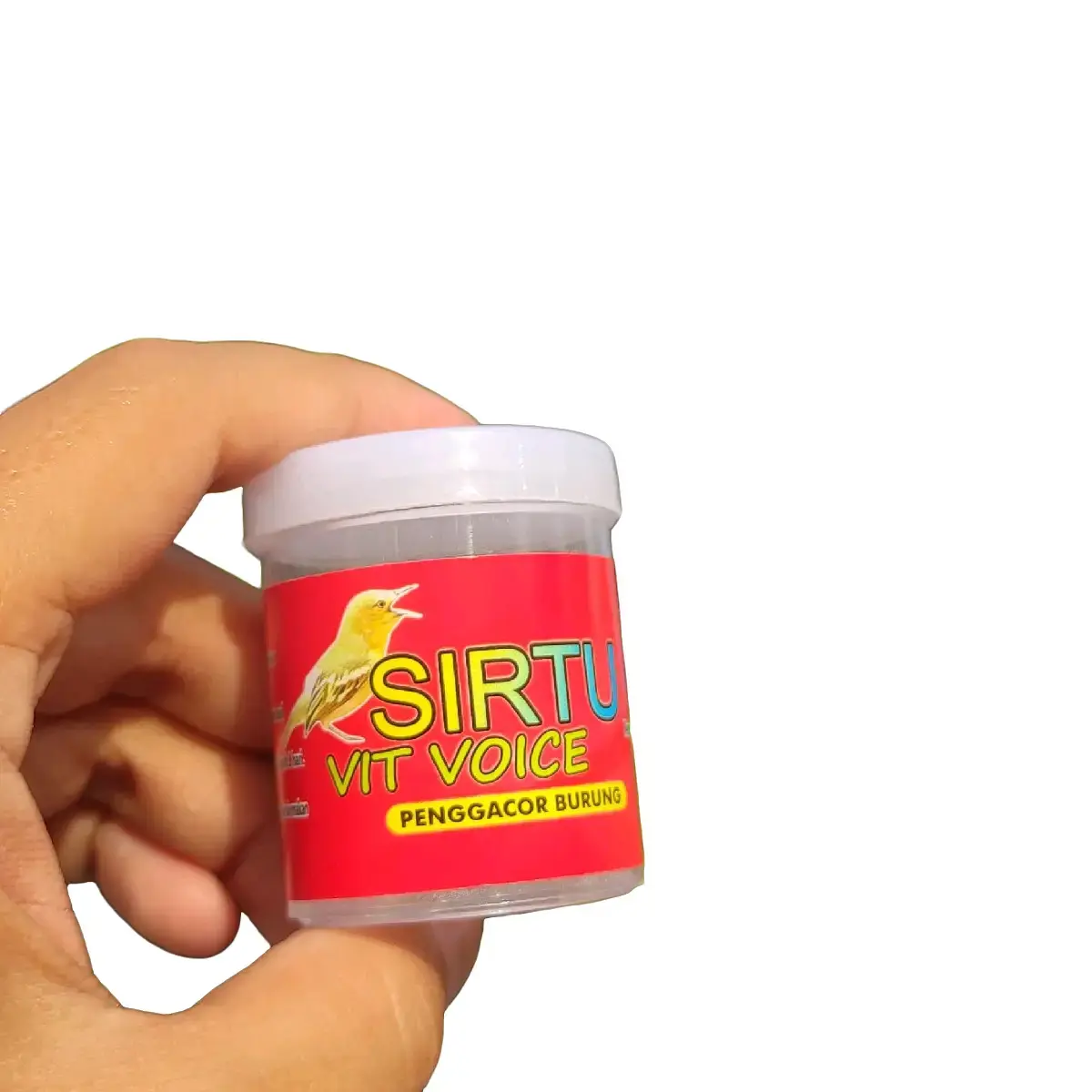 SIRTU VIT VOICE - RAHASIA BURUNG SIRTU MACET BUNYI JADI GACORR