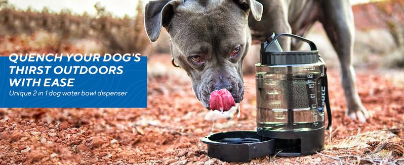 Product Introduction of Large Dogs Water Bowl Dispenser, Walking, Camping, Hiking, Portable, Sturdy, 2 in 1 combo pet travel 1