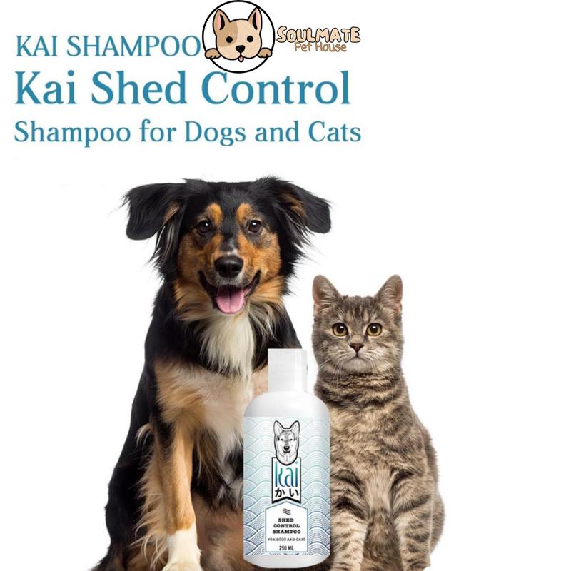 Product Introduction of (SALE+ QUÀ) Sữa tắm yến mạch+xịt dưỡng cao cấp KAI cho chó mèo 250ml- Thái Lan 33