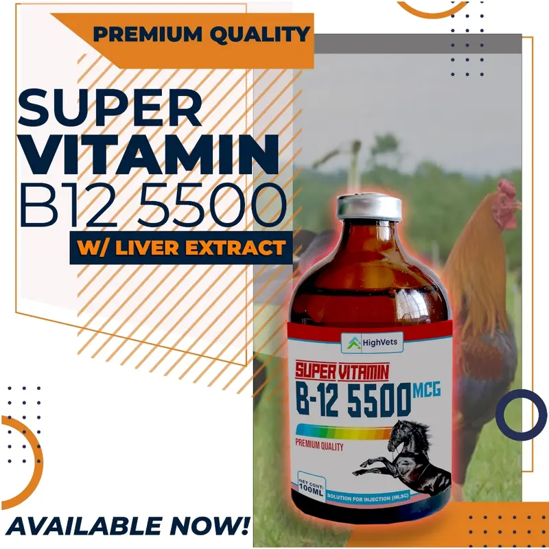 TOP PERFORMANCE B12-5500 FOR LIVESTOCK AND GAMEFOWL (100ML) 20ML (NO BOX) - TikTok Shop Philippines TOP PERFORMANCE B12-5500 FOR LIVESTOCK AND GAMEFOWL (100ML) 20ML (NO BOX) - TikTok Shop Philippines