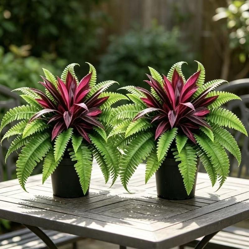 Nhiệt đới Sống động Cây dương xỉ Boston Dracaena nhân tạo Chống tia cực tím…