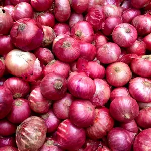 Bawang merah super premium Nganjuk kering kwalitas eksport