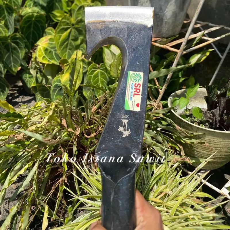 DODOS KASTRASI SRL UKURAN 3inc ORIGINAL 1