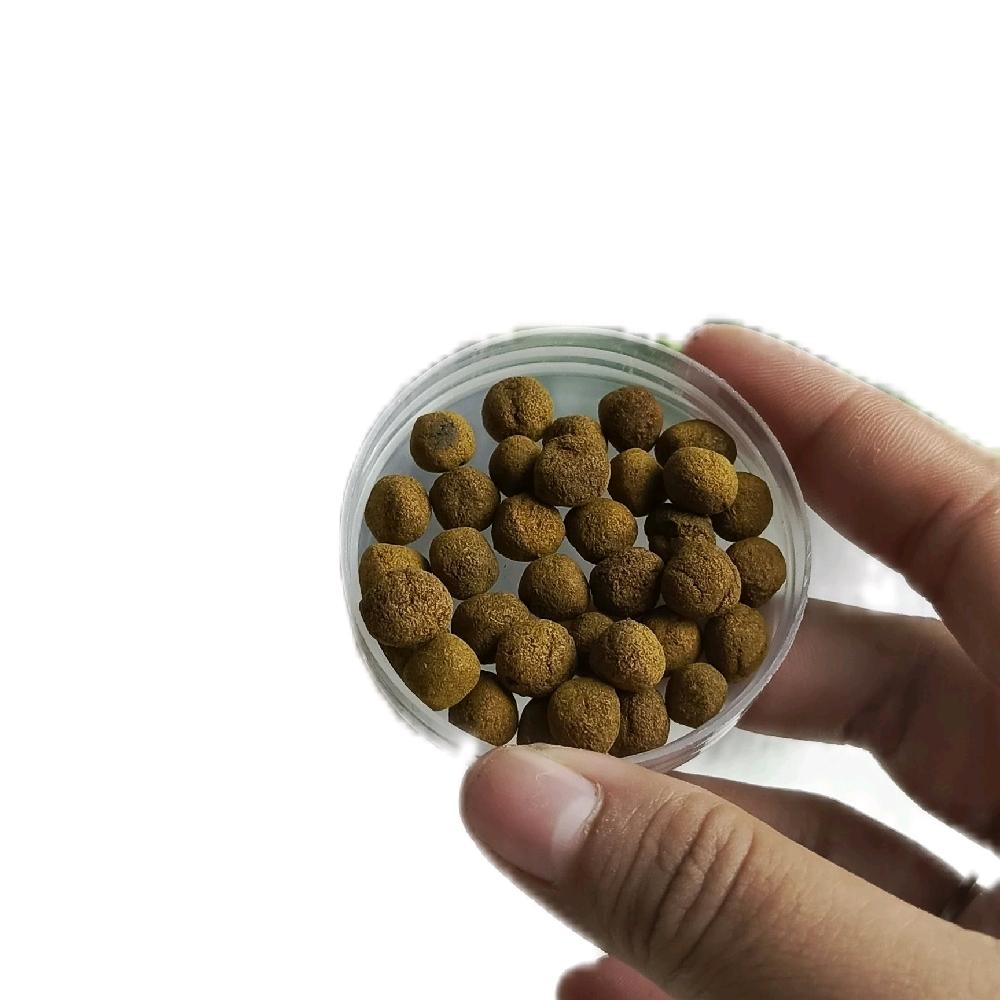 Gurah manik coklat perawatan wanita