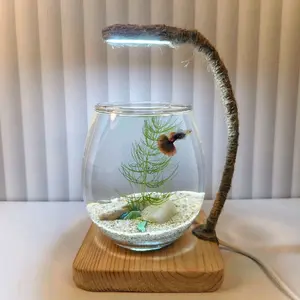 SET LENGKAP AKUARIUM MINI BULAT ‎ ‎AESTHETIC / TANK CUPANG / AQUARIUM GUPPY/AQUASCAPE UNIK FULlSET PLUS LAMPU
