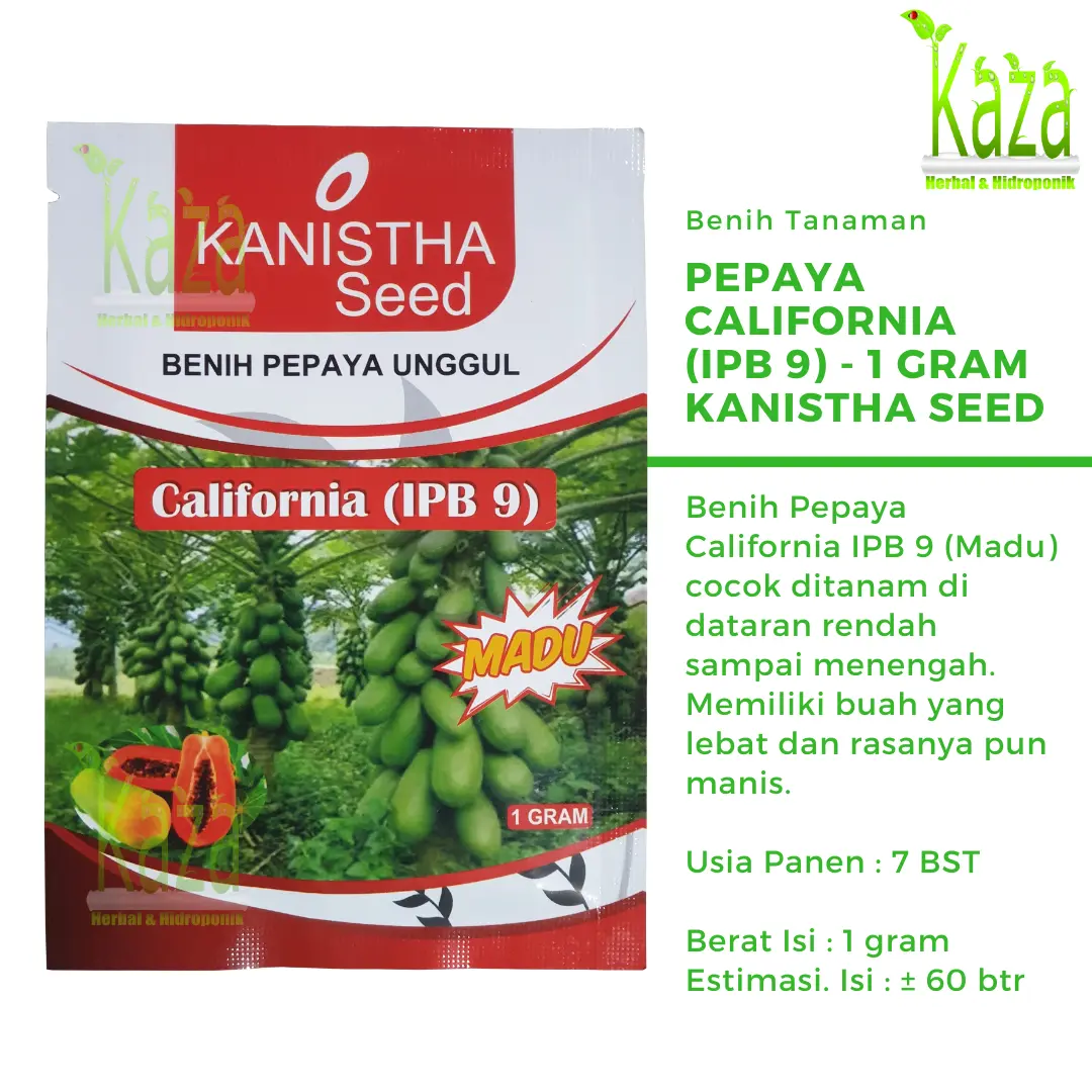 Benih Pepaya California (IPB 9) 1 gram Kanistha Seed - Kates Madu