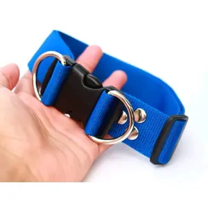 kalung collar anjing dog besar lebar 4 cm tali (WARNA BISA PILIH)