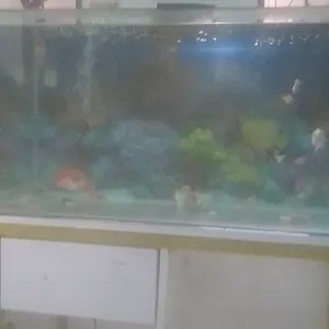 Penjernih Air Aquarium Akuarium Aquascape Kolam PURIFIER Aman Untuk Ikan - 1 Liter obat  penjernih Penjernih Air