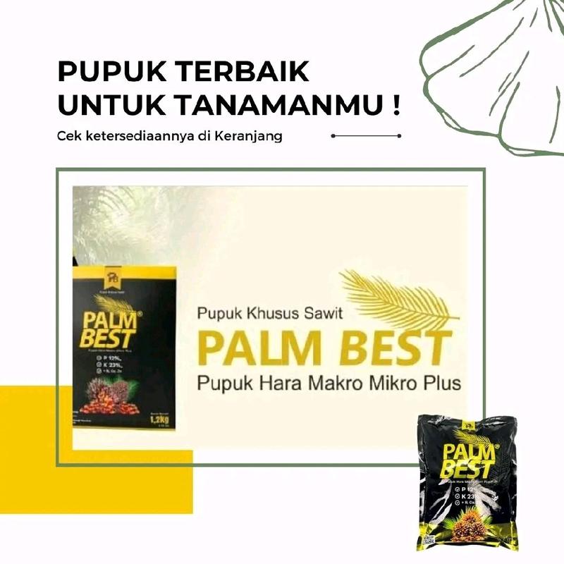 Pupuk Palm Best untuk Pertumbuhan Tanaman Sawit 1