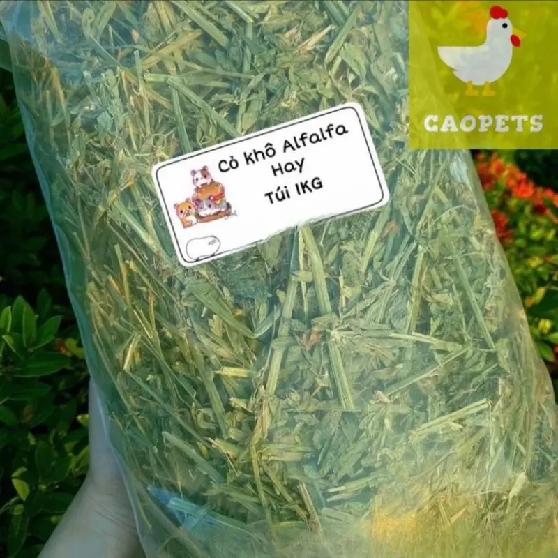1KG Cỏ khô Alfalfa Hay Mỹ Lọc Bụi thức ăn cho Thỏ, Guinea Pig( Bọ ú,Chuột lang) dưới 6 tháng tuổi......................