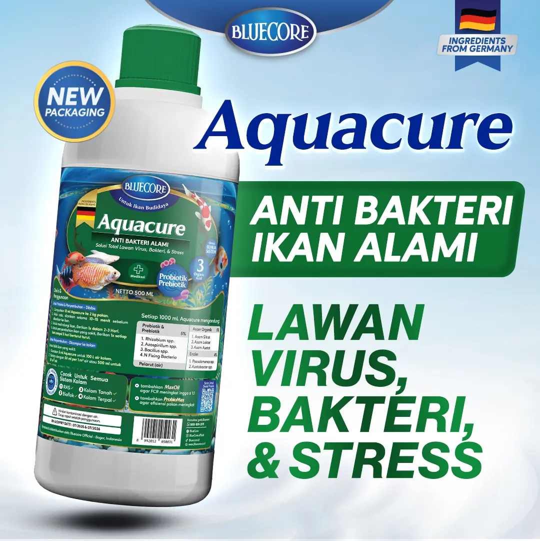 Bluecore - AquaCure Anti Bakteri Ikan Alami 100/250/500ML — Atasi Vibrio Insang Merah Jamur Ekor Busuk Lele Nila Gurame Patin