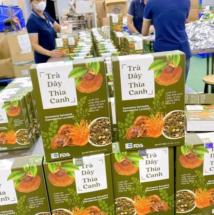4 hộp trà đông trùng dây thìa canh hộp 30  túi lọc tốt cho người tiểu đường 2