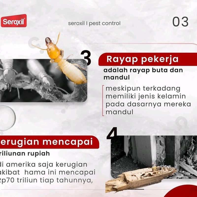 [AC] SEROXIL ANTI RAYAP AEROSOL - BASMI RAYAP KAYU DAN TANAH - ANTI RAYAP AMPUH 500ML - OBAT RAYAP RUMAH VIRAL - PEMBASMI SERANGGA 3