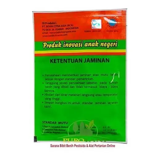 Bibit Mentimun F 1 Benih Timun Semi F1 Bintang Asia 900 Butir 20gr Hijau