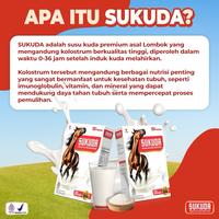 Gambar Sukuda Susu Kuda Liar Lombok Kolostrum Asli 200 Gram 1 Box dari HerbaNest Store Kab. Tulungagung 2 Tokopedia