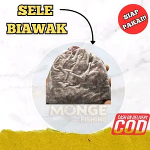 sele biawak olahan siap pakai untuk memancing  galatama atau rawa