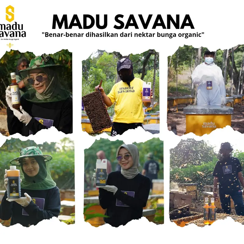 PROMO MADU HUTAN AKASIA SUMATERA BELI 2 GRATIS 1 Honey Kental Asam Coklat madu  murni 3
