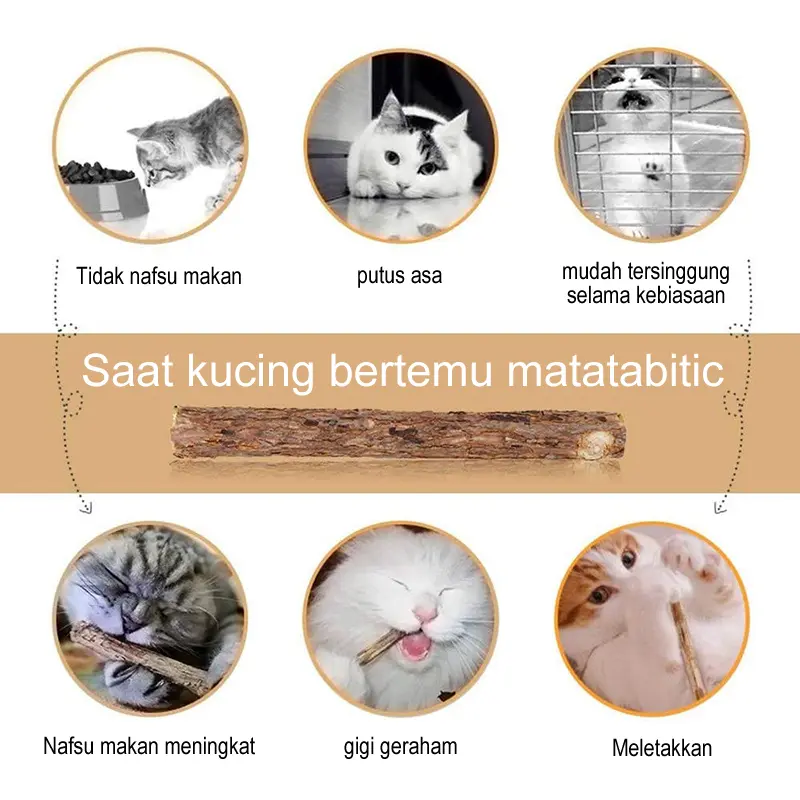 Catnip Stick Snack Kucing Kayu Matatabi Camilan Mainan Gigit Cat Nip Toys 5