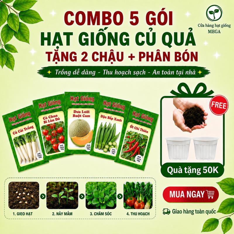 Mega - Hạt Giống Rau Củ Quả Trồng Chậu, Quanh Năm - Hạt Giống Sạch, Dễ Trồng…