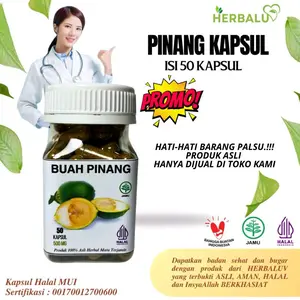 Herbaluv Kapsul Buah Pinang Muda ORIGINAL isi 50 Kapsul 500mg Halal MUI Sertifikasi 00170012700600