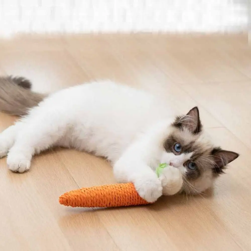 Cuddle Fun Carrot Cat Toys Cute Cat Scratch Board Cat Teething Stick Anti-bite Pet Supplies Cat Scratch Board
