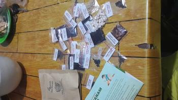 Product Review of Paket 25 Bibit Sayuran Mudah Tumbuh Benih Seribuan from m**0 1
