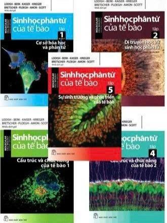 Sách - Bộ Sách - Sinh học phân tử của tế bào
