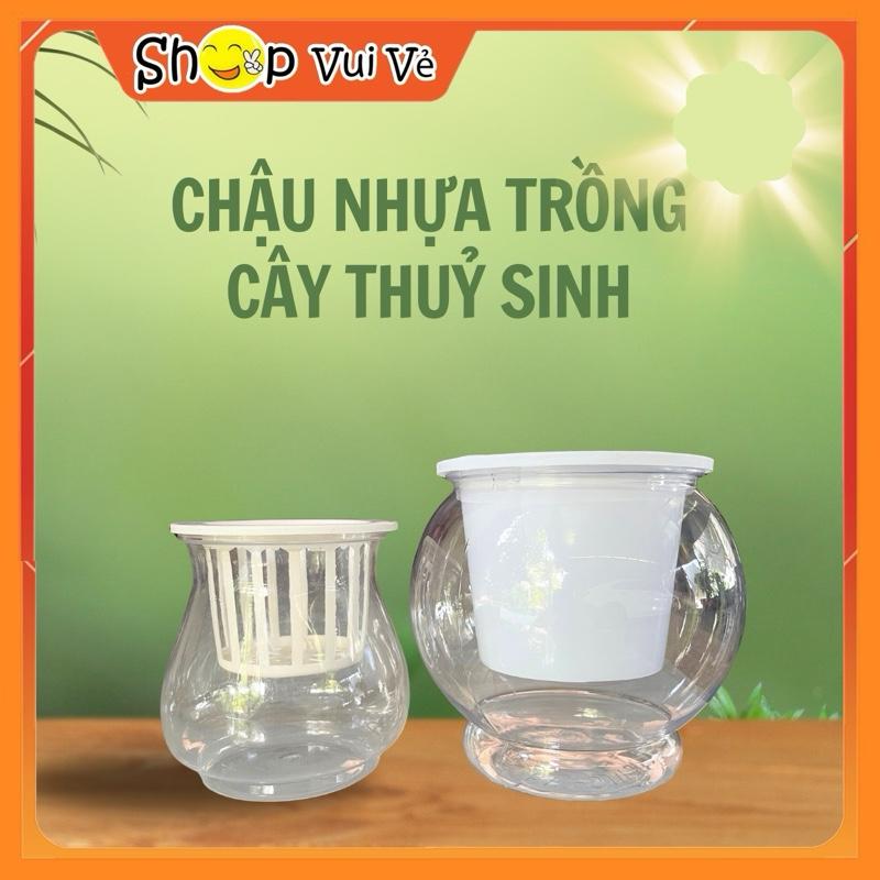 Chậu nhựa trồng cây thủy sinh, cây thủy canh có kèm giỏ