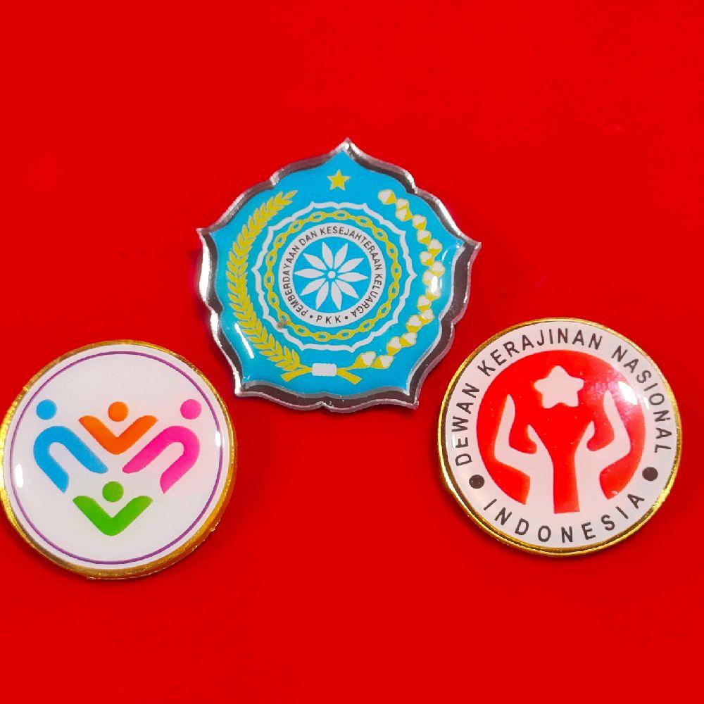 pin paket PKK.Posyandu.Dekranas premium