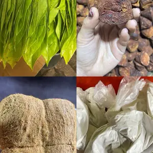 Paket Makan sirih atau demban beserta campuran nya atau kuh nya ya kak.