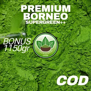 Premium Borneo Supergreen++ Minuman Bubuk Penambah Stamina 1150gr Bonus Asli Borneo dalam Kemasan COD