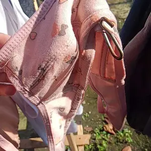 6 PCS Bra Wanita Remaja - Bha Remaja - Bh Tanpa Kawat - Art: Pita