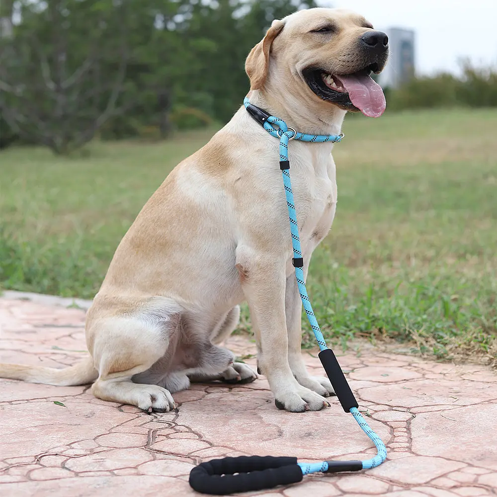 Dog training p chain p rope golden retriever labrador explosion proof noose leash medium and large dog walking dog rope dog chain