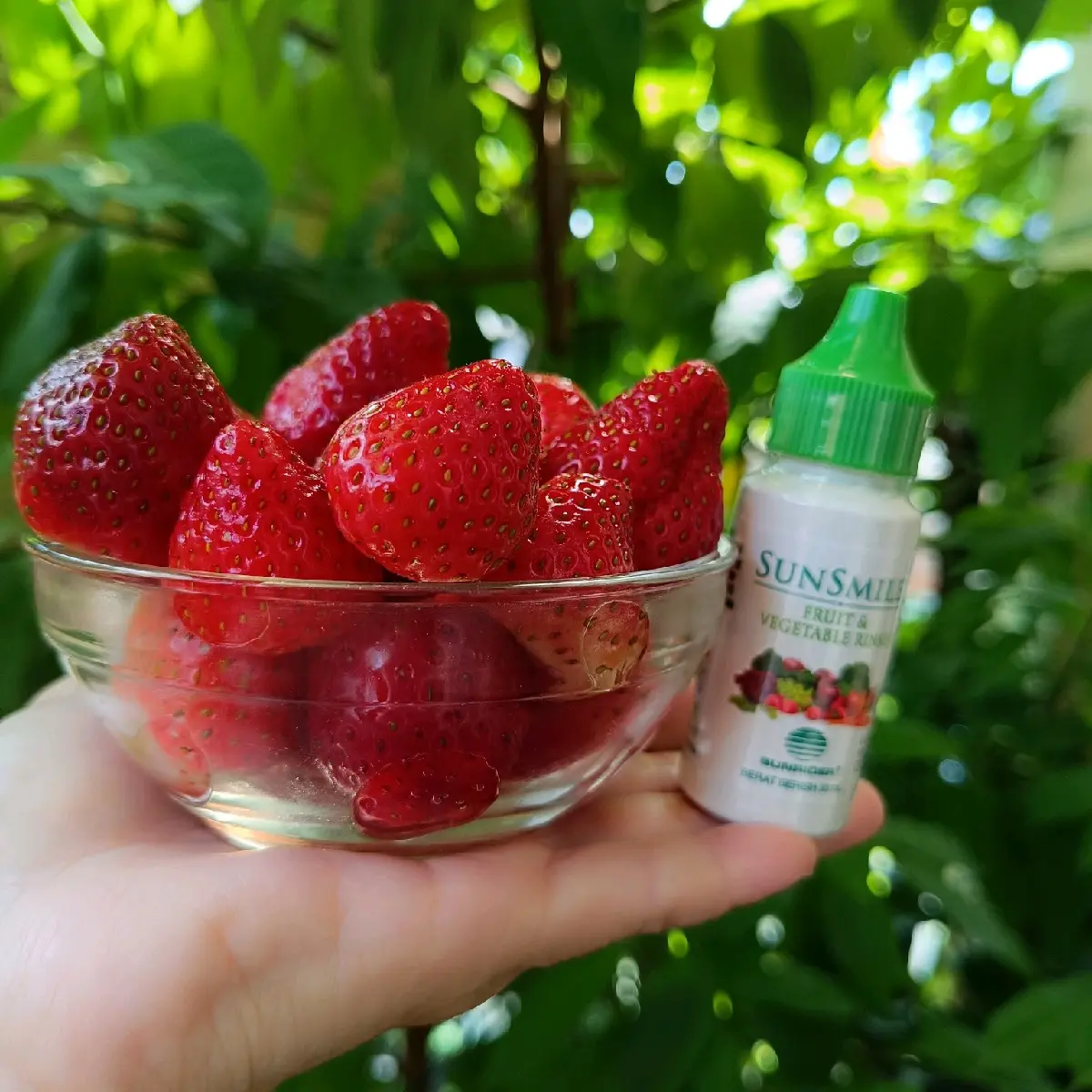 Sunrider Pencuci Buah dan Sayur, Fruit & Vegetable Rinse Herbal Alami Tetes