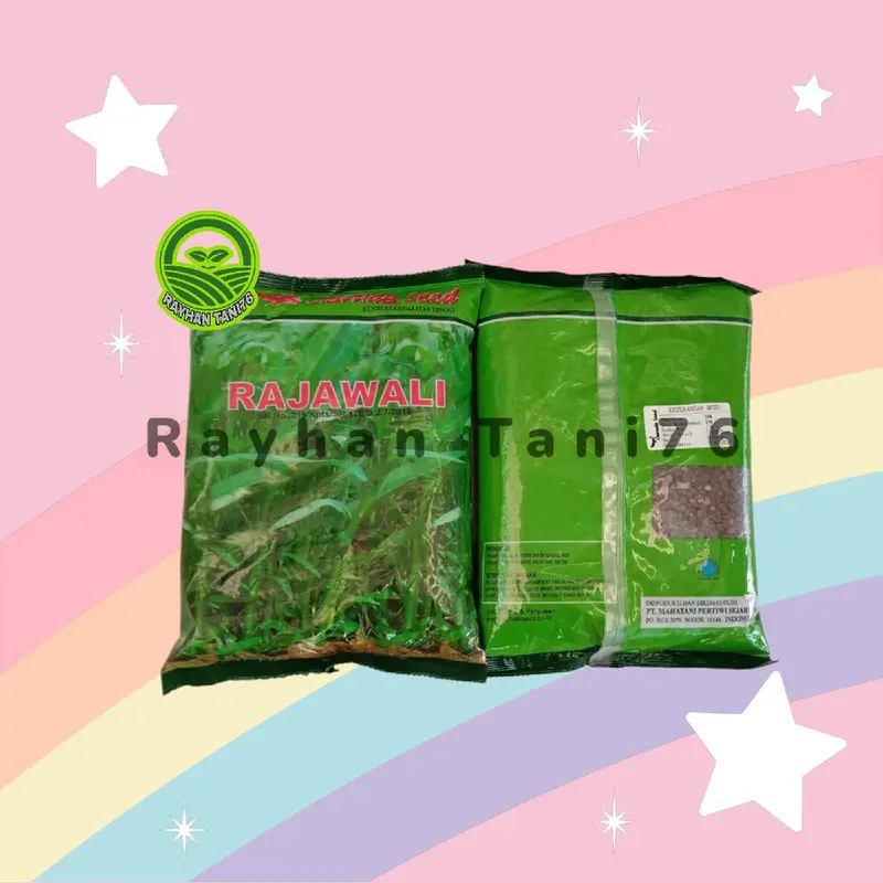 Benih Kangkung Unggul Varietas Rajawali Garuda Seed 1kg - Daun 3