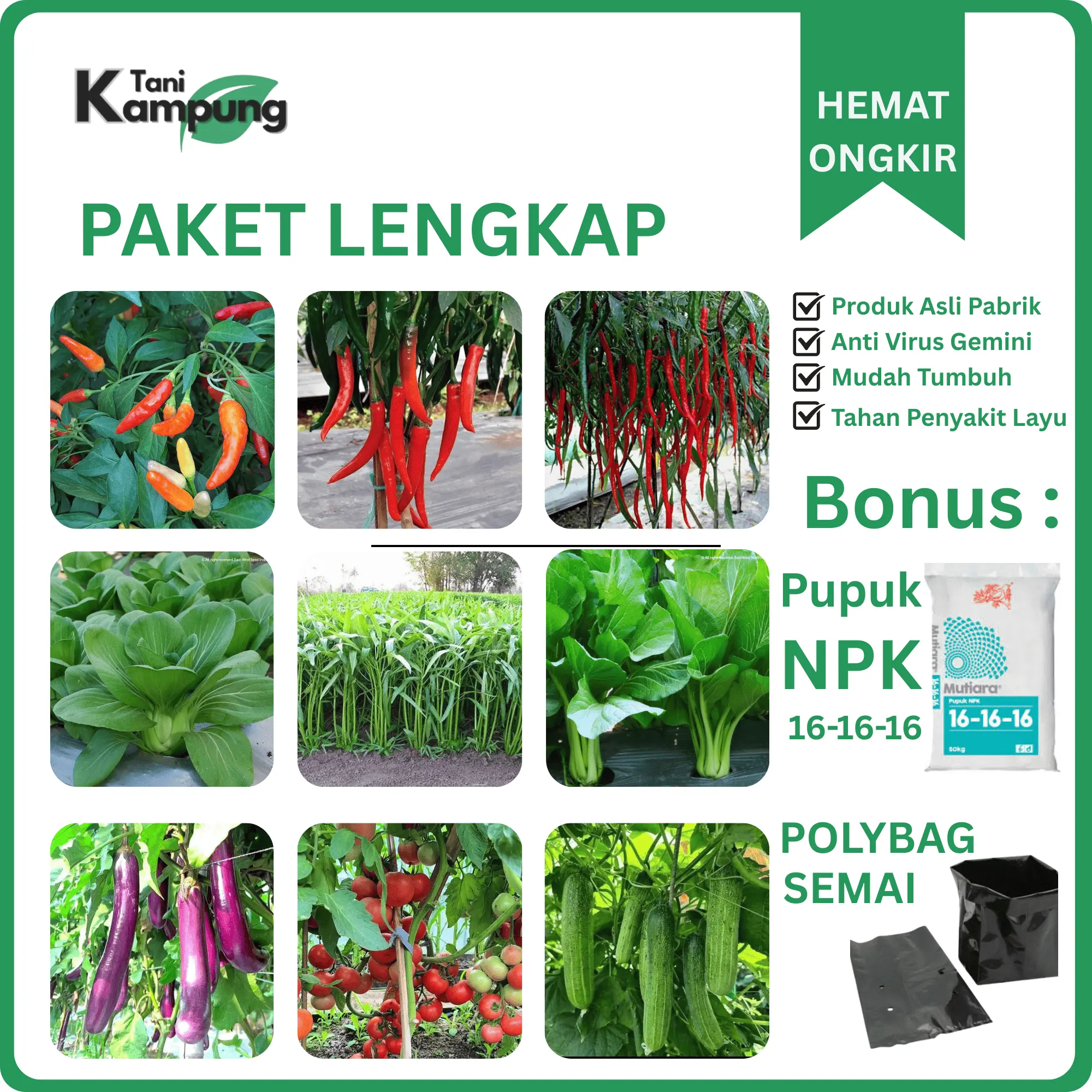Paket Hemat 9 Benih Sayuran Lengkap Mudah Tumbuh  Bibit Cabai Tomat Terong Kangkung Pakcoy Timun Sawi  Bonus Pupuk & Polybag  Cocok untuk Pemula Berkebun Di Rumah