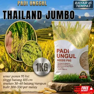 Benih padi unggul Thailand jumbo terbaik kemasan 1kg original dan berkualitas