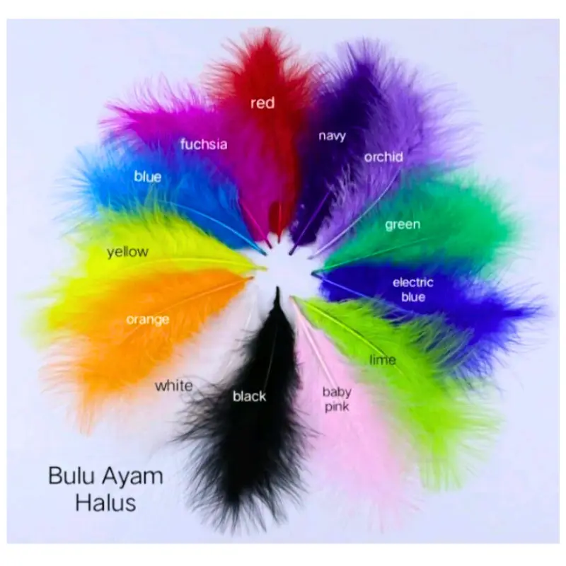 Bulu ayam halus warna warni 50 Pcs Untuk kerajinan DIY tugas sekolah