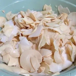 1kg rebung bambu segar cocok untuk dijadikan olahan yang nikmat SUDAH DIBERSIHKAN