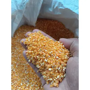 JAGUNG PECAH / JAGUNG GILING PAKAN JAGO / DERKUKU / MERPATI 500gr